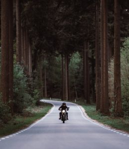 Biker in woods